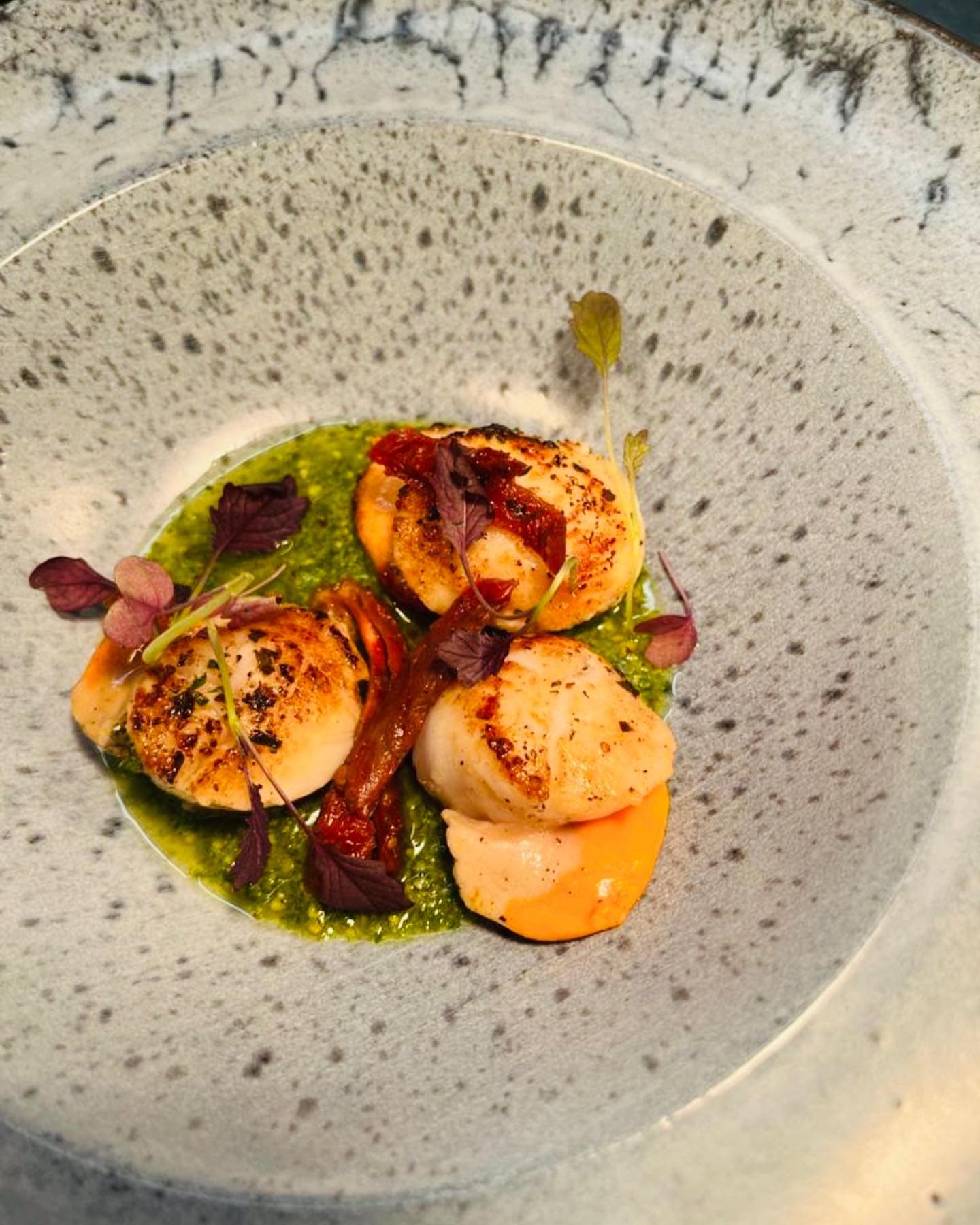 Seared scallops with chorizo, tomato and herb oil on a speckled grey plate