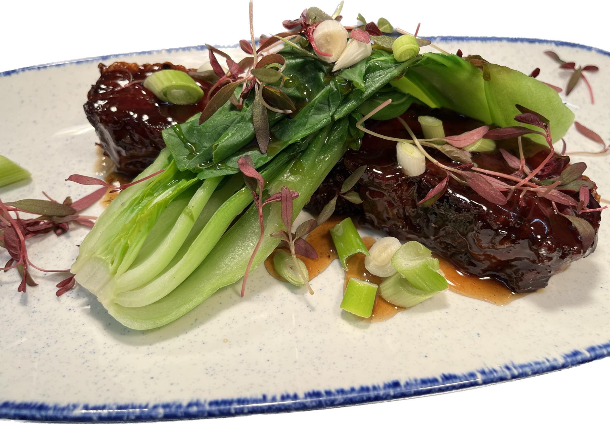 Braised meat with pak choi and spring onion on a blue-rimmed plate
